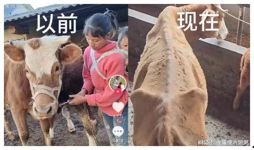 网红小英被曝大瓜,背后真相令人震惊