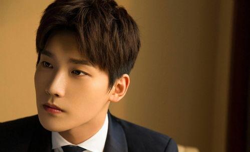 明星排行榜 木林森在线观看,在线观看，揭秘明星魅力瞬间